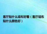 客廳貼什么墻布好看（客廳墻布貼什么顏色好）