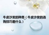 牛皮沙發(fā)的種類（牛皮沙發(fā)的選購技巧是什么）