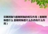 環(huán)氧樹脂與酚醛樹脂的相互作用（酚醛樹脂是什么 酚醛樹脂是什么東西有什么作用）