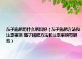 茄子施肥用什么肥料好（茄子施肥方法和注意事項 茄子施肥方法和注意事項有哪些）