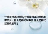 什么是橋式起重機(jī) 什么是橋式起重機(jī)的呢圖片（什么是橋式起重機(jī) 什么是橋式起重機(jī)的呢）