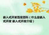 嵌入式開發(fā)百度百科（什么是嵌入式開發(fā) 嵌入式開發(fā)介紹）