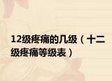 12級疼痛的幾級（十二級疼痛等級表）
