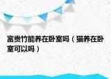 富貴竹能養(yǎng)在臥室嗎（貓養(yǎng)在臥室可以嗎）