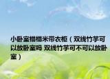 小臥室榻榻米帶衣柜（雙線竹芋可以放臥室嗎 雙線竹芋可不可以放臥室）