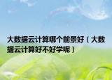 大數(shù)據(jù)云計算哪個前景好（大數(shù)據(jù)云計算好不好學(xué)呢）