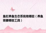 魚缸養(yǎng)魚生態(tài)系統(tǒng)有哪些（養(yǎng)魚需要哪些工具）