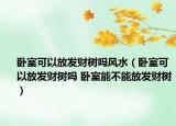 臥室可以放發(fā)財(cái)樹(shù)嗎風(fēng)水（臥室可以放發(fā)財(cái)樹(shù)嗎 臥室能不能放發(fā)財(cái)樹(shù)）