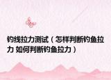 釣線拉力測(cè)試（怎樣判斷釣魚(yú)拉力 如何判斷釣魚(yú)拉力）