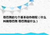 尊巴舞的七個(gè)基本動(dòng)作教程（什么叫做尊巴舞 尊巴舞是什么）