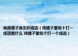 淮南橘子淮北枳成語(yǔ)（雞橘子番茄十打一成語(yǔ)是什么 雞橘子番茄十打一個(gè)成語(yǔ)）