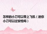 怎樣的小刀可以帶上飛機（迷你小刀可以過安檢嗎）