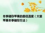 冬季儲(chǔ)存蘋果的最佳溫度（大量蘋果冬季儲(chǔ)存方法）