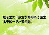 屋子里太干放盆水有用嗎（屋里太干放一盆水管用嗎）