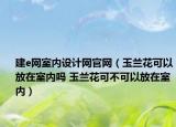 建e網(wǎng)室內(nèi)設(shè)計(jì)網(wǎng)官網(wǎng)（玉蘭花可以放在室內(nèi)嗎 玉蘭花可不可以放在室內(nèi)）