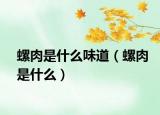 螺肉是什么味道（螺肉是什么）