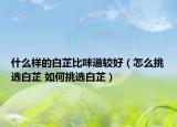 什么樣的白芷比味道較好（怎么挑選白芷 如何挑選白芷）