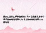 螢火蟲是什么季節(jié)的時候才有（在我國北方哪個季節(jié)更容易見到螢火蟲 北方更容易見到螢火蟲的時間）