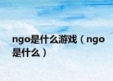 ngo是什么游戲（ngo是什么）