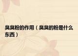 臭臭粉的作用（臭臭的粉是什么東西）