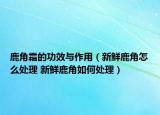鹿角霜的功效與作用（新鮮鹿角怎么處理 新鮮鹿角如何處理）