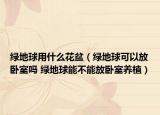 綠地球用什么花盆（綠地球可以放臥室嗎 綠地球能不能放臥室養(yǎng)植）