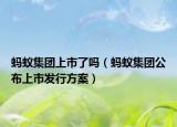 螞蟻集團(tuán)上市了嗎（螞蟻集團(tuán)公布上市發(fā)行方案）