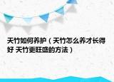天竹如何養(yǎng)護(hù)（天竹怎么養(yǎng)才長得好 天竹更旺盛的方法）
