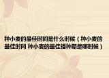 種小麥的最佳時(shí)間是什么時(shí)候（種小麥的最佳時(shí)間 種小麥的最佳播種期是哪時(shí)候）