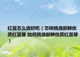 紅豆怎么選好吃（怎樣挑選新鮮優(yōu)質紅豆芽 如何挑選新鮮優(yōu)質紅豆芽）