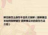 鮮花椒怎么保存不變色又保鮮（新鮮蠶豆米如何保鮮儲存 新鮮蠶豆米的保存方法介紹）