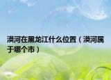 漠河在黑龍江什么位置（漠河屬于哪個市）