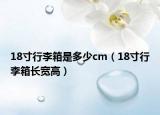 18寸行李箱是多少cm（18寸行李箱長寬高）