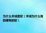 為什么羊絨柔軟（羊絨為什么有的硬有的軟）