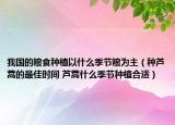 我國的糧食種植以什么季節(jié)糧為主（種蘆蒿的最佳時間 蘆蒿什么季節(jié)種植合適）