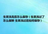 生菜洗完后怎么保存（生菜洗過了怎么保鮮 生菜洗過后如何保存）