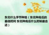 東北什么季節(jié)種地（東北種南瓜的最佳時間 東北種南瓜什么時候最合適）