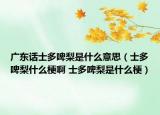 廣東話士多啤梨是什么意思（士多啤梨什么梗啊 士多啤梨是什么梗）