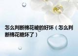 怎么判斷棉花被的好壞（怎么判斷棉花糖壞了）