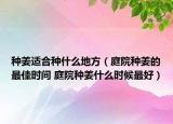 種姜適合種什么地方（庭院種姜的最佳時間 庭院種姜什么時候最好）