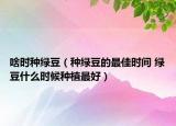 啥時種綠豆（種綠豆的最佳時間 綠豆什么時候種植最好）