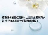 植物澆水的最佳時間（土豆什么時候澆水好 土豆?jié)菜淖罴褧r間是哪時候）