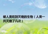 被人類吃到滅絕的生物（人類一共滅絕了幾次）