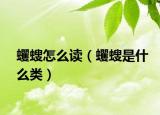 蠼螋怎么讀（蠼螋是什么類）