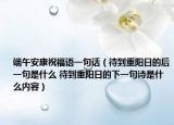 端午安康祝福語一句話（待到重陽日的后一句是什么 待到重陽日的下一句詩(shī)是什么內(nèi)容）
