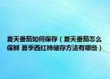 夏天番茄如何保存（夏天番茄怎么保鮮 夏季西紅柿儲存方法有哪些）