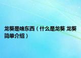 龍葵是啥東西（什么是龍葵 龍葵簡(jiǎn)單介紹）