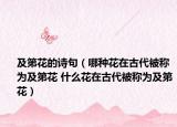 及第花的詩(shī)句（哪種花在古代被稱為及第花 什么花在古代被稱為及第花）