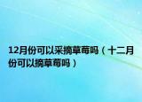 12月份可以采摘草莓嗎（十二月份可以摘草莓嗎）