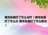 銀龍魚嘴爛了怎么治療（銀龍魚嘴爛了怎么辦 銀龍魚嘴爛了怎么解決）